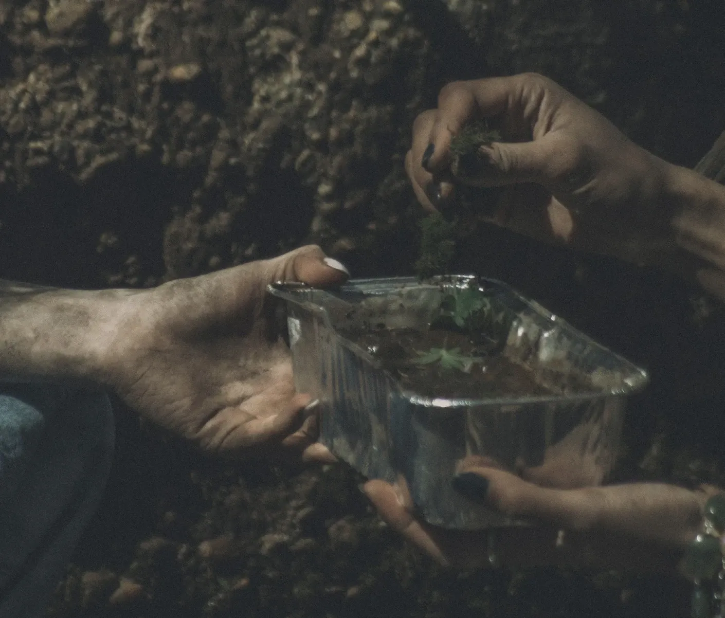 The Beauty of Unclean Hands: Mudpies